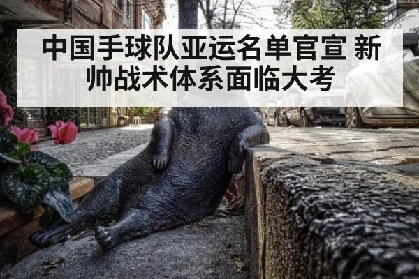 中国手球队亚运名单官宣 新帅战术体系面临大考